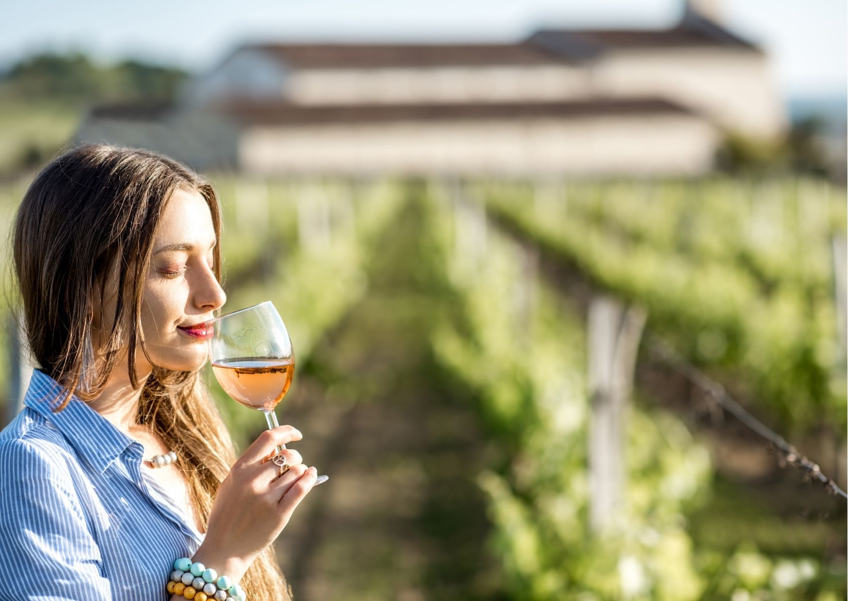 luxury wine tours of the south coast